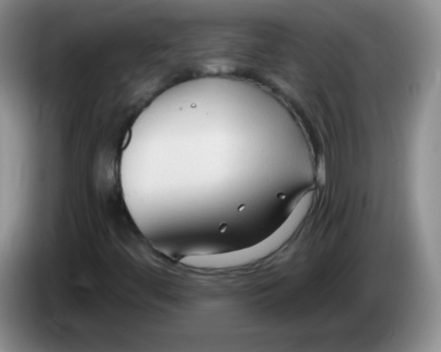 X0000083971444200703091752