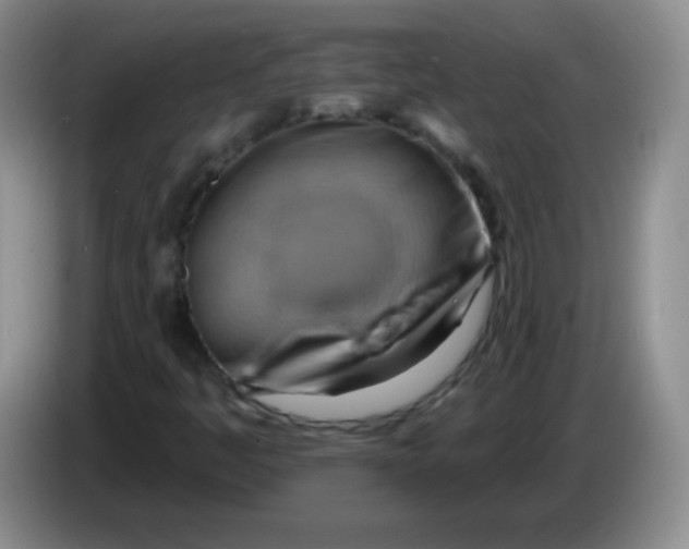 X0000083971445200703091752