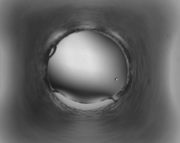 X0000083971448200703091752