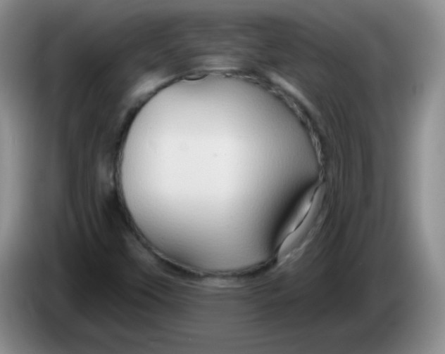 X0000083971451200703091752