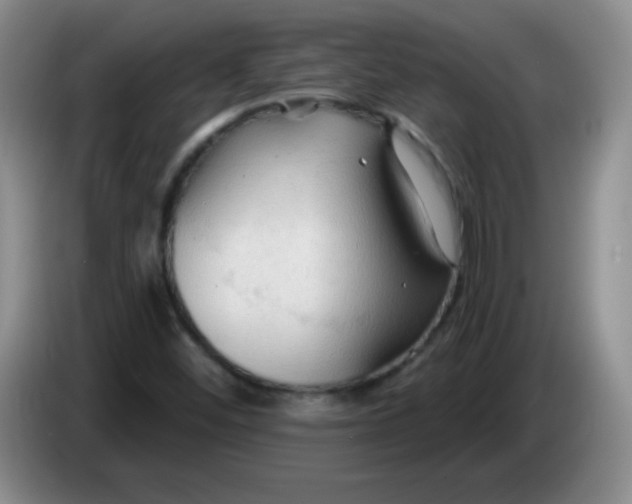 X0000083971452200703091752