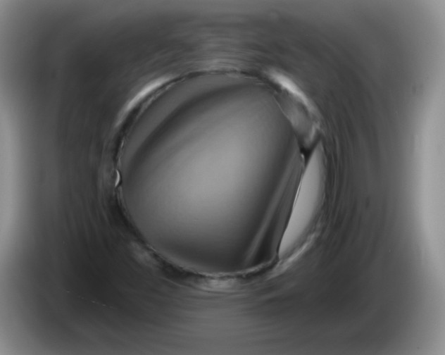 X0000083971453200703091752