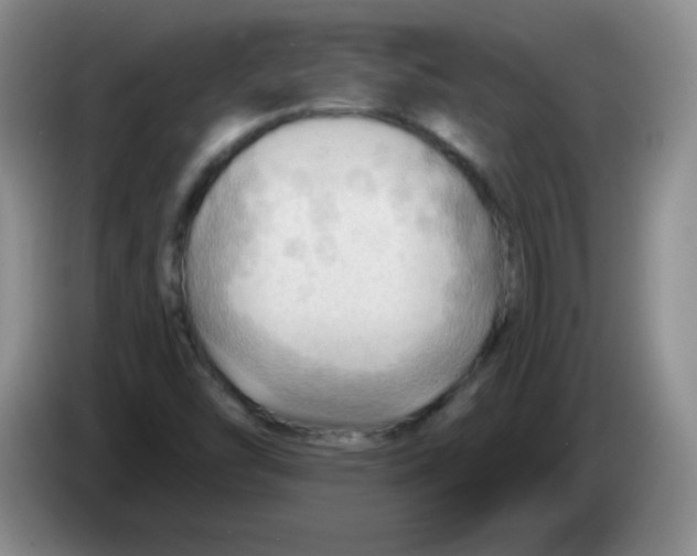 X0000083971454200703091752