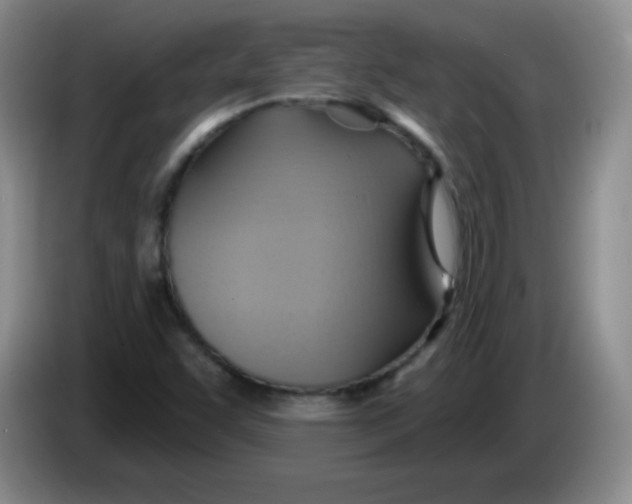 X0000083971455200703091752