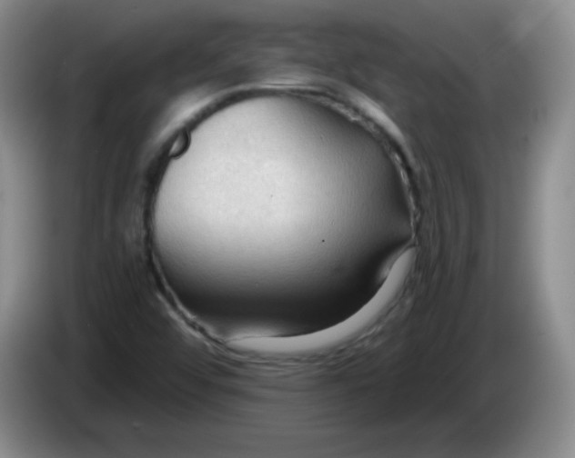 X0000083971456200703091752