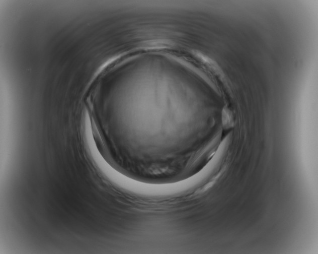 X0000083971457200703091752