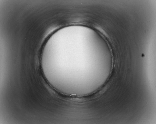X0000083971458200703091752