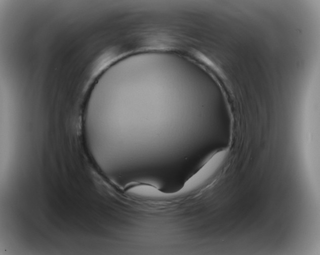 X0000083971459200703091752