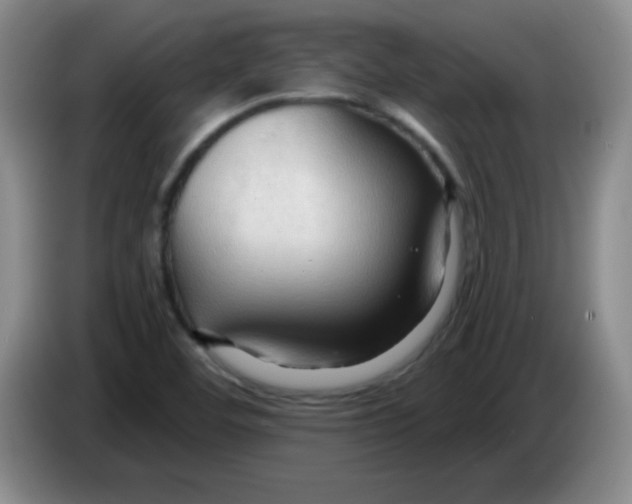 X0000083971460200703091752