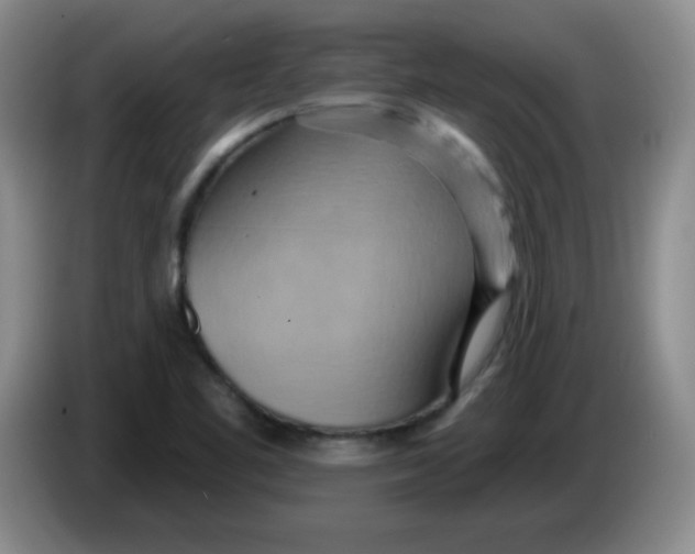 X0000083971461200703091752