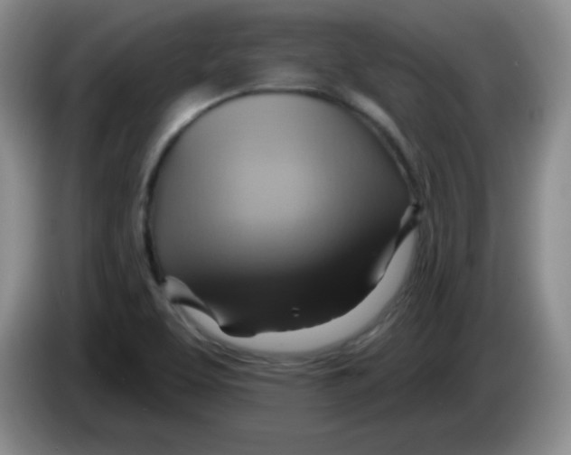 X0000083971463200703091752