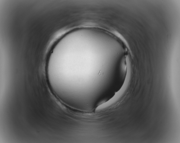 X0000083971464200703091752