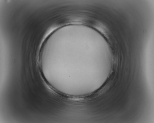 X0000083971466200703091752