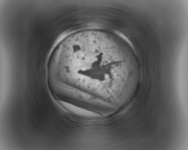 X0000083971467200703091752