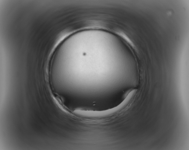 X0000083971468200703091752