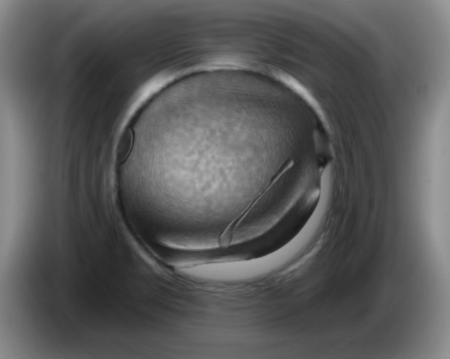 X0000083971469200703091752