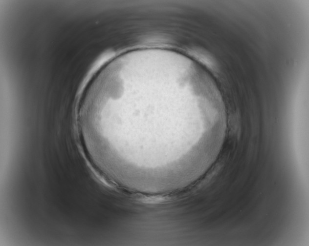 X0000083971470200703091752