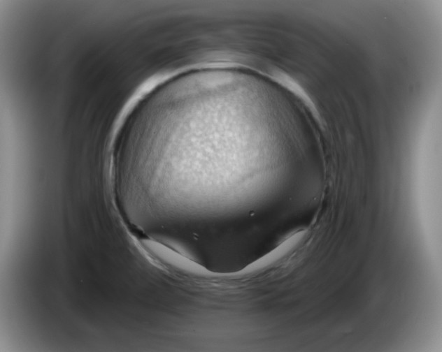 X0000083971472200703091752