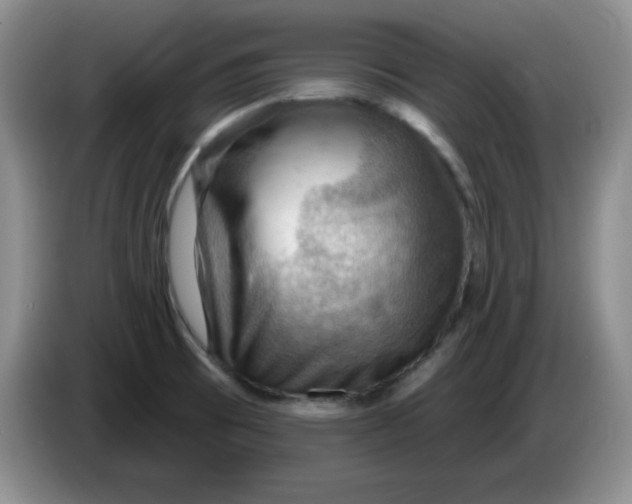 X0000083971473200703091752