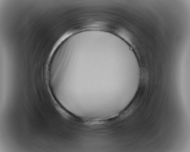 X0000083971474200703091752