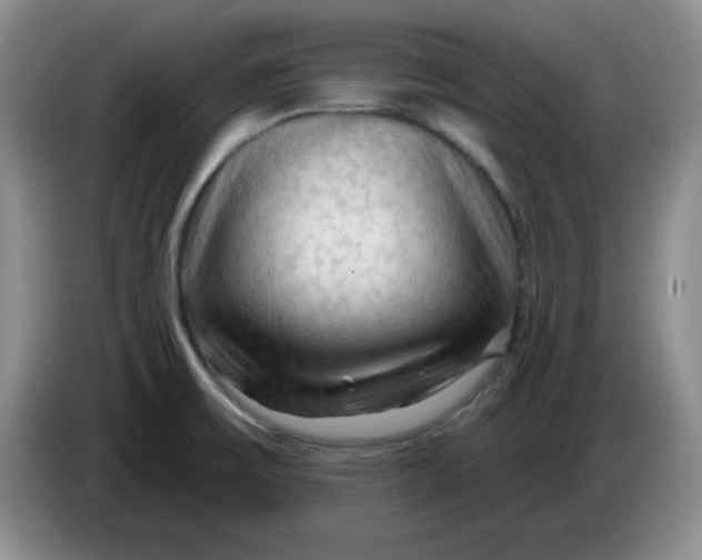 X0000083971475200703091752