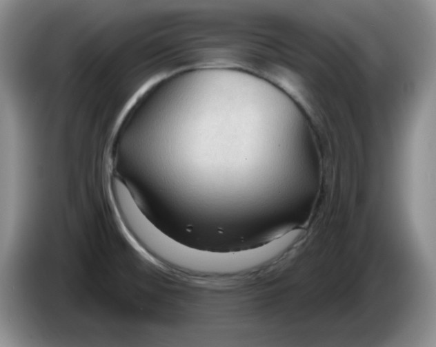 X0000083971476200703091752