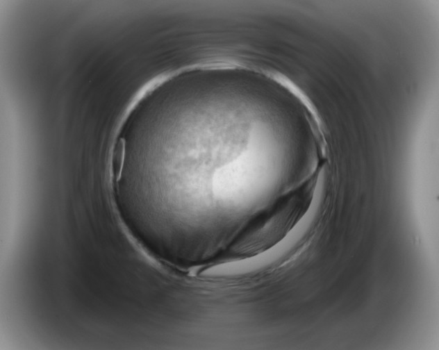 X0000083971477200703091752