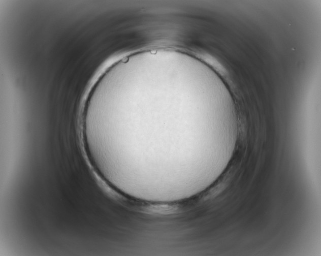 X0000083971478200703091752