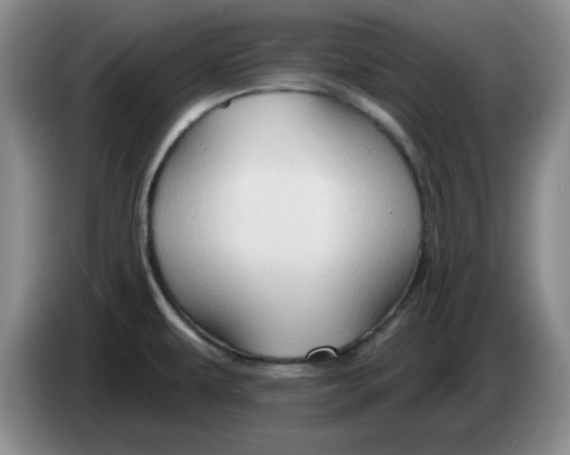 X0000083971479200703091752