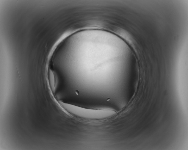 X0000083971480200703091752