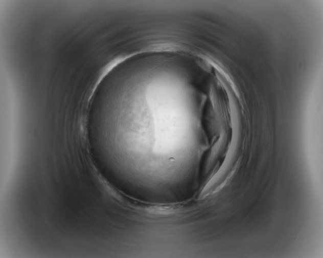 X0000083971481200703091752