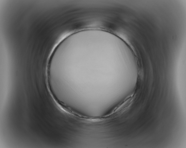 X0000083971482200703091752