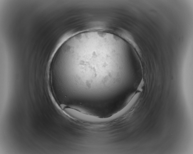 X0000083971483200703091752