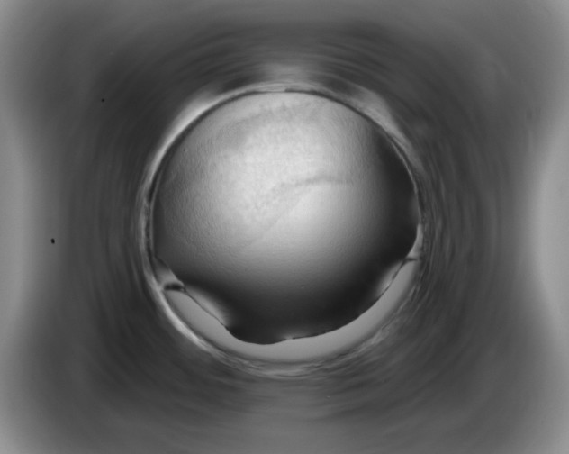 X0000083971484200703091751