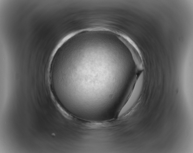 X0000083971485200703091751