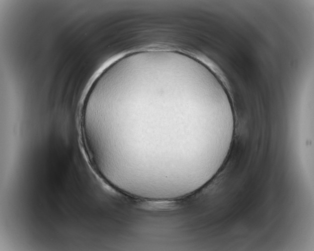 X0000083971486200703091751