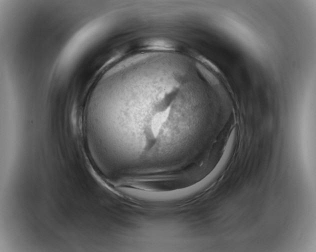 X0000083971487200703091751
