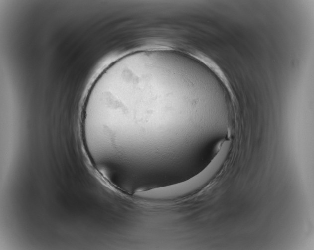 X0000083971488200703091751
