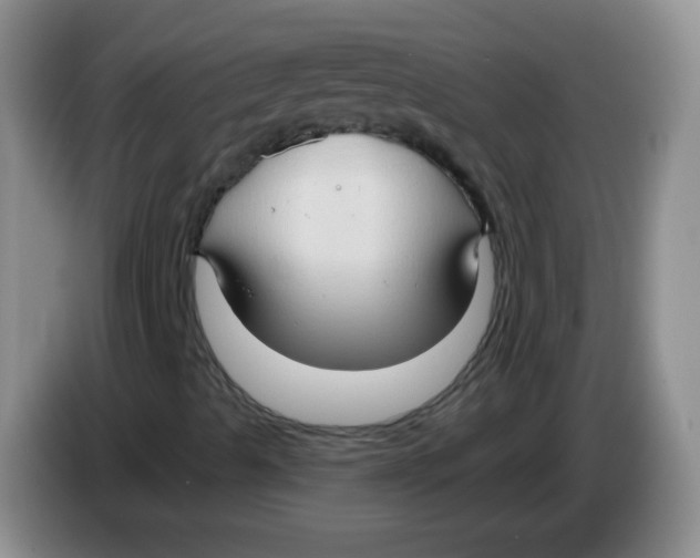 X0000083971489200703091751