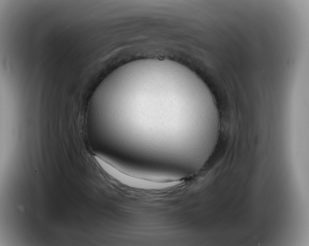 X0000083971490200703091751