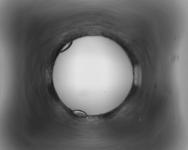 X0000083971491200703091751