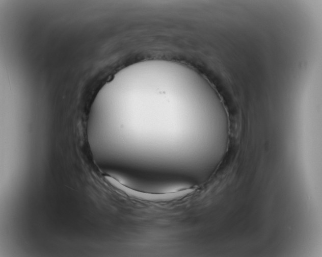 X0000083971493200703091751