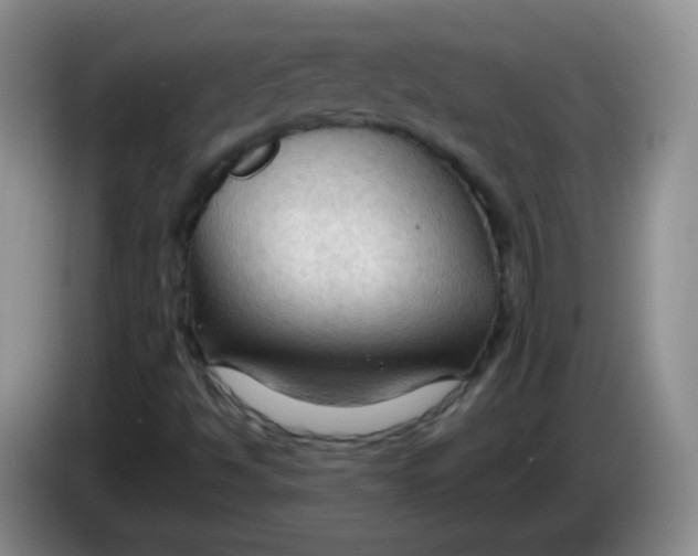 X0000083971494200703091751