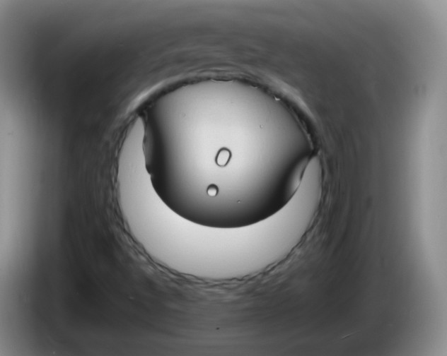 X0000083971496200703091751