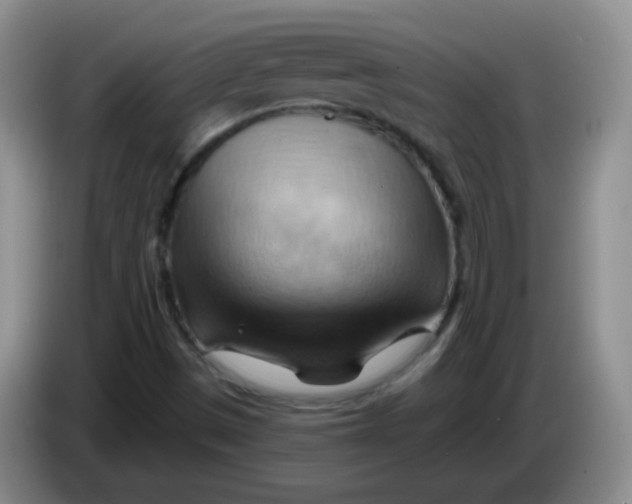 X0000083971497200703091751