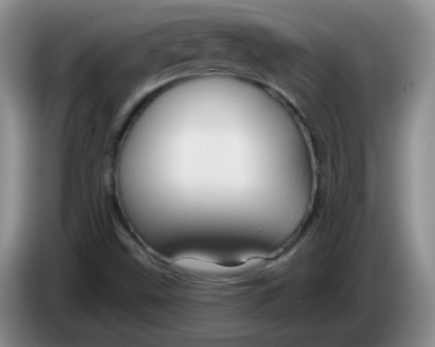 X0000083971499200703091751