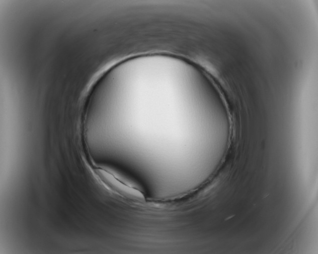 X0000083971500200703091751