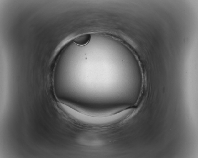 X0000083971501200703091751