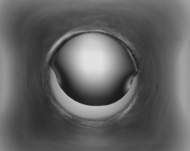 X0000083971502200703091751