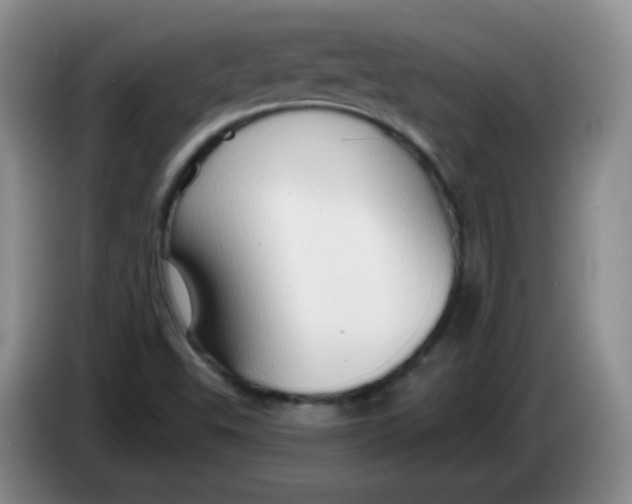 X0000083971503200703091751